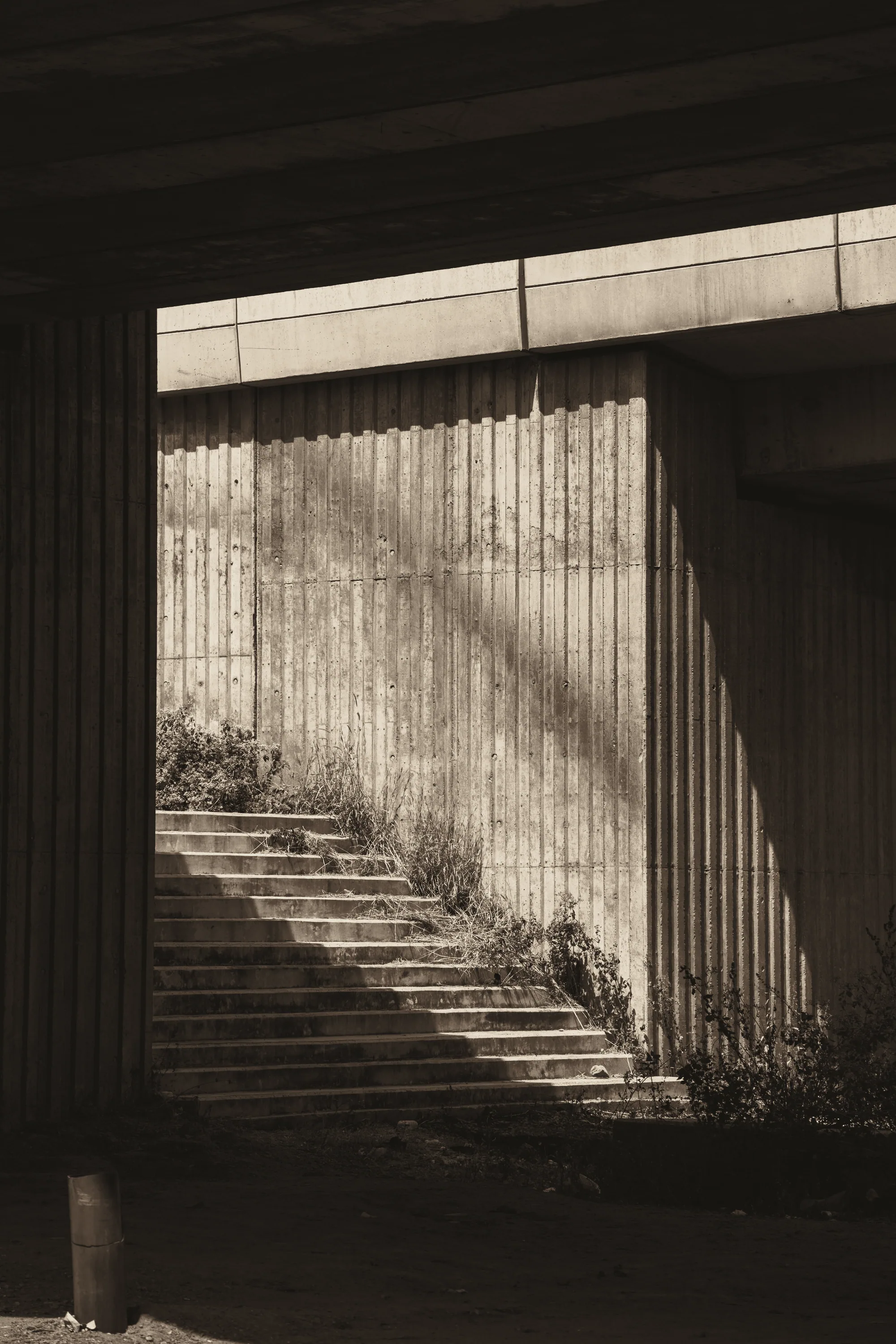 Concrete stairs rising beneath a bridge