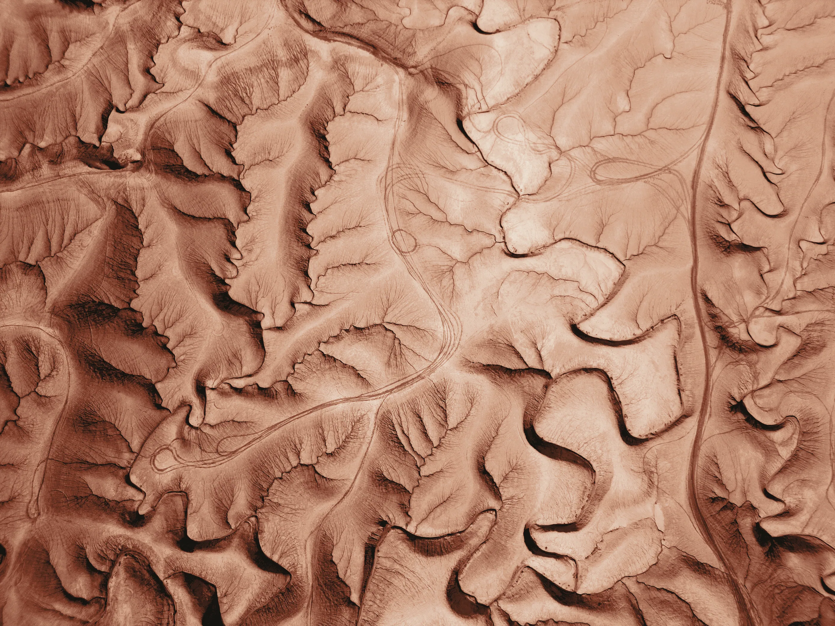 Aerial view of sand relief, ridges and channels in rust duotone